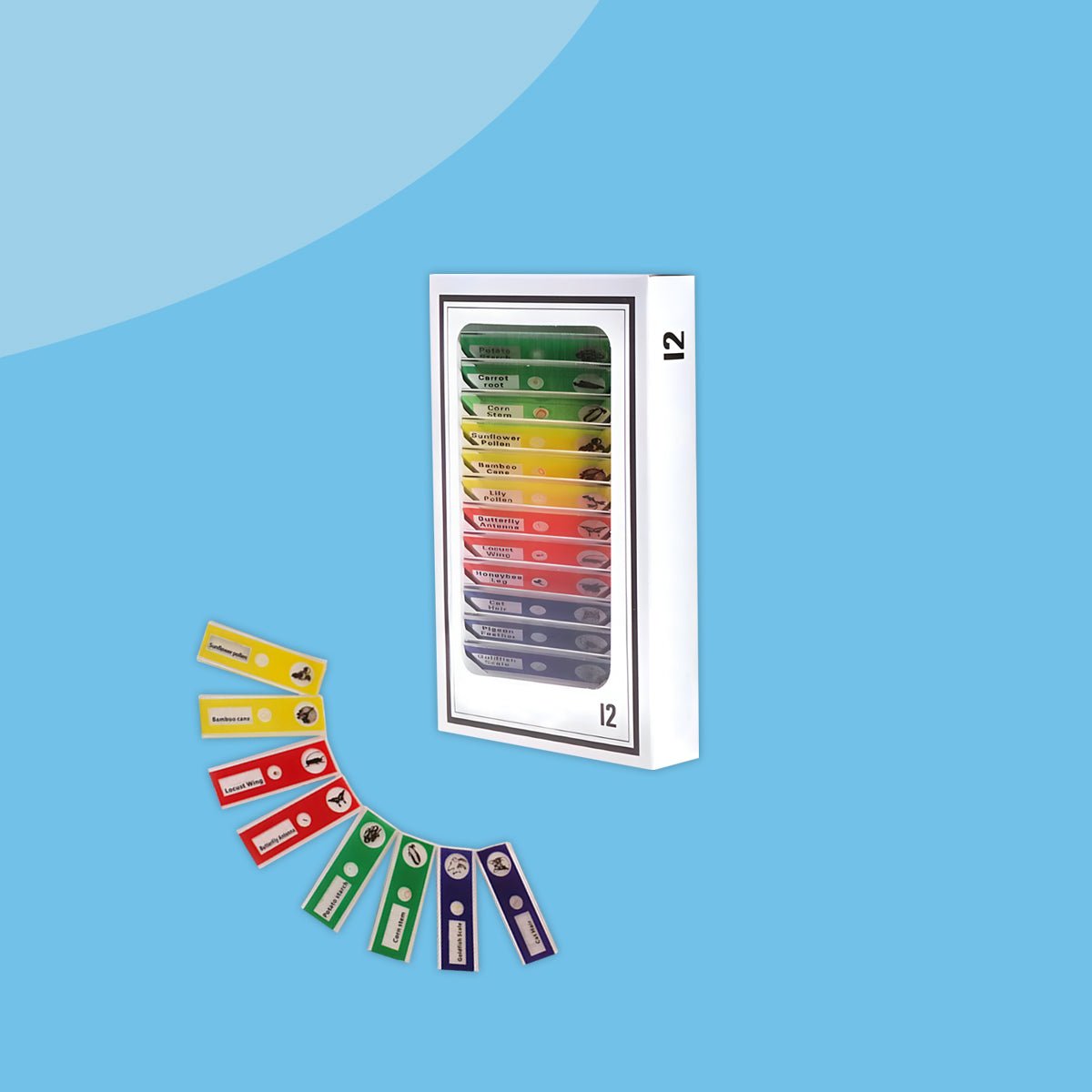 12 Spécimens à Analyser (Cadeau Offert) - Enfant Joyeux