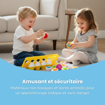 Œufs Géométriques Montessori (lot de 12)
